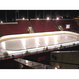 SYNTHETIC ICE RINK