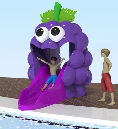 Blackberry 750 – Happy Fruits Water Slide