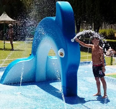 Arch Dolphin – AquaSea Aquatic Figure
